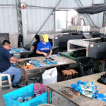 IMAGE_20250402_103504_584